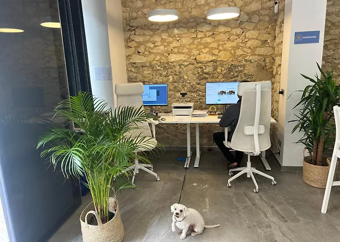 Marevita Hostel-quiet & Super Hygienic With Privacy Beds-ideal For Winter Vandrarhem Alicante